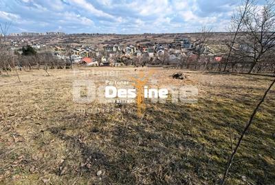 Teren Construcții intravilan de 3000 mp, în Rediu - 2