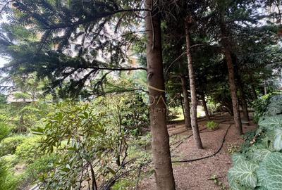 Apartament cu 5 camere decomandat, mobilat în Herăstrău - 40