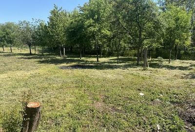 Spațiu comercial, în Sânandrei - 2