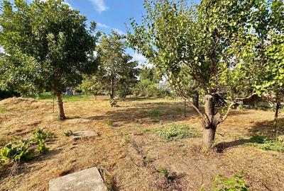 Ciorogarla casa 4 dormitoare, teren 1200 mp - 5