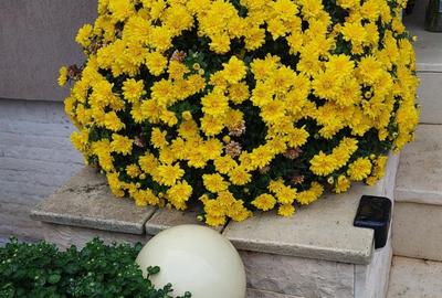 Casă cu 5 camere decomandat cu Canalizare în Primo - 4