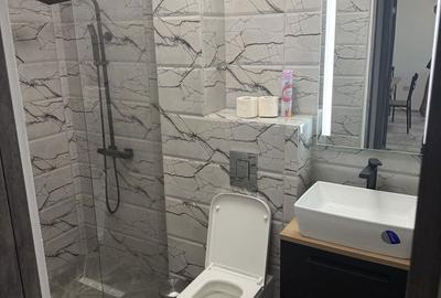Apartament cu 2 camere în Craiovița Nouă - 2