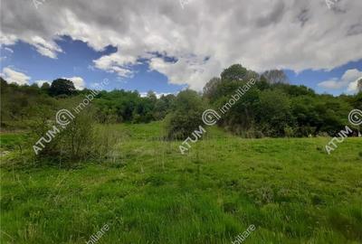 Teren intravilan 2750 mp in Avrig zona Valea Avrigului - 3