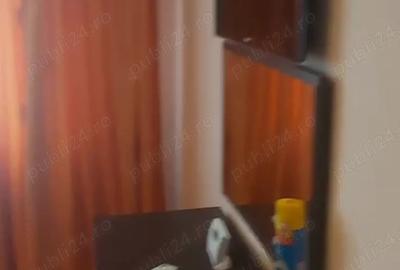 Apartament 2 camere Gura Leului - 2