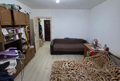 DRUMUL TABEREI PARC DRUMUL TABEREI - 1