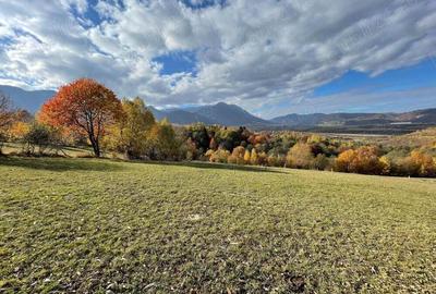 Teren intravilan zona Bran-Tohanita, judetul Brasov intre 500 si 1000 mp la 5 km de Moieciu - 14
