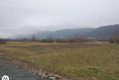 Casă în Copalnic - 3