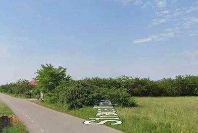 Teren de 2950 mp, în Clinceni - 6