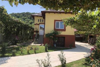 Casă cu 3 camere în Dobrogostea - 6