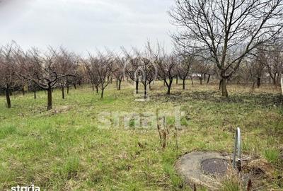 Teren de 800 mp, în Borhanci - 1