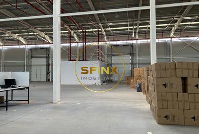 Spațiu industrial, de 3,000 mp, în Cernica - 4