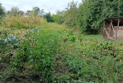 Casă cu 5 camere cu Teren 1000 Mp în Balda - 3