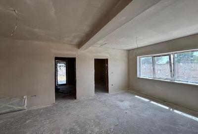 1/2 Duplex  pe parter- Mosnita Noua - aproape de Lidl.  Canalizare - 5