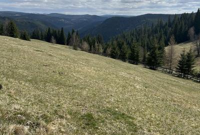 Spațiu comercial, în Măguri