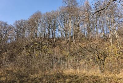 Teren intravilan Breaza 4,000mp cu  utilitati. Panorama superba. Intimitate. - 3