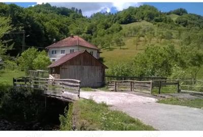 Casă cu 5 camere cu Teren 70000 Mp în Blăjeni - 2