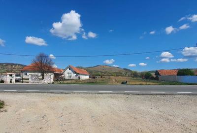 Teren de 3544 mp, în Uileacu de Criș - 2