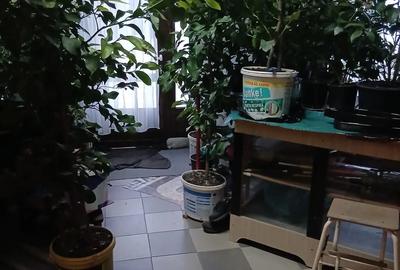 Casă cu 2 camere cu Teren 100 Mp în Central