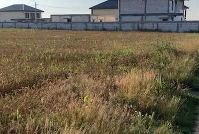 Teren agricol intravilan de 1588 mp, în Cernica - 1