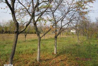 Teren de 4860 mp, în Central - 2