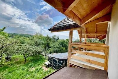 DE VANZARE Casa / Vila de vacanta in Campulung Muscel - 22