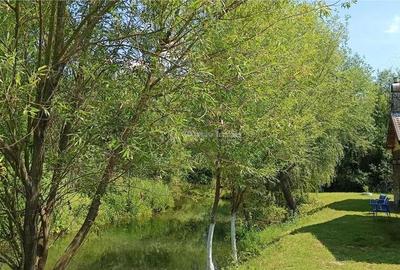 Casă cu Teren 2693 Mp în Gornea - 2