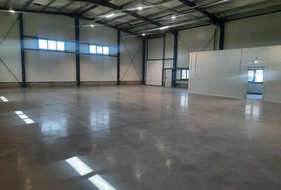 Spațiu comercial, de 380 mp, în Giarmata - 2