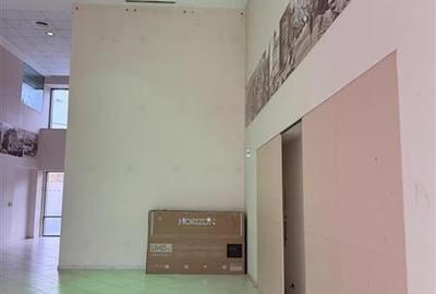 Spatiu Comercial Grozavesti - Parter Riverside Tower - 8