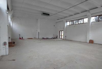 De vanzare hala in zona Freidorf - 1