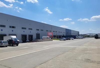 Depozit/hala/spatiu industrial Mogosoaia - Centura, Ilfov - 6