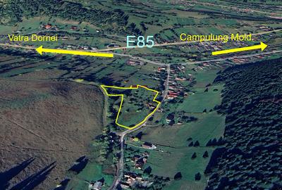 Teren Construcții intravilan de 8000 mp, în Pojorâta - 2