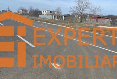 Teren intravilan in KM 5, la VETERANI - PRELUNGIREA TRACTORULUI - 12