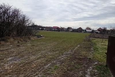 Teren de 5900 mp, în Mihai Viteazu - 2