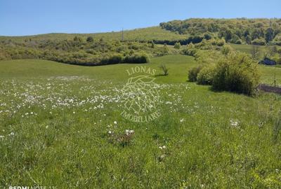 Teren agricol extravilan de 5400 mp, în Sărata - 2
