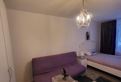 Garsoniera Drumul Taberei Proprietar - 7