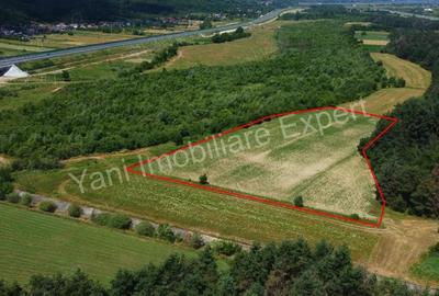 Teren de 11000 mp, în Băiculești