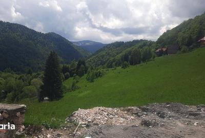 Teren de 1000 mp, în Dâmbovicioara - 4