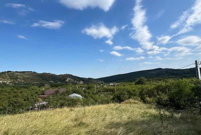 Teren de 2580 mp, în Poiana