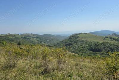 Teren de 4719 mp, în Râmeț - 2