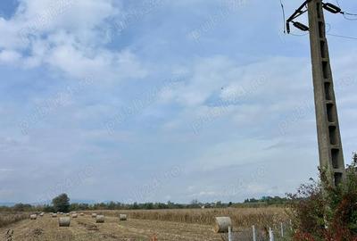 Spațiu comercial, de 1,000 mp, în Central - 4