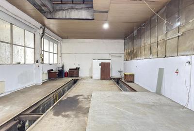 Hala 120 mp, inaltime 5m, parcare, Criseni - 1