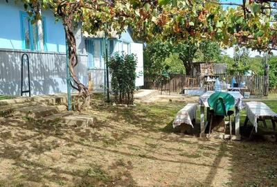 Casă cu 4 camere în Central - 4