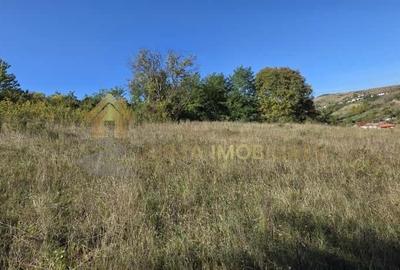 TEREN INTRAVILAN 11000 MP - 8