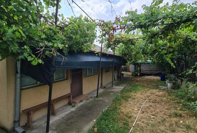 Casa individuala/sat Dobreni comuna Varasti - 14