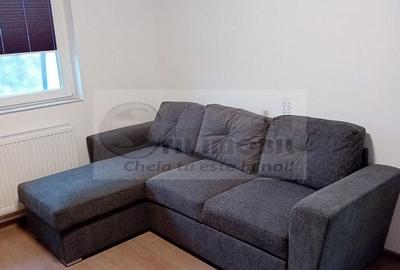 2 CAM DECOMANDAT BUCIUM LIDL LOC PARCARE PRIMA INCHIRIERE - 11