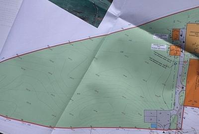 Vand casa singur in curte - P+M - teren 3000 mp - Marpod - 3