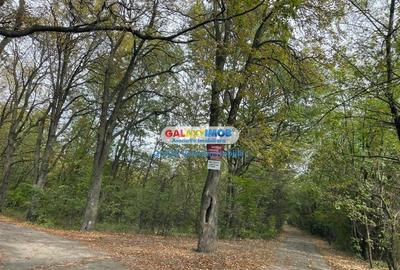 Vanzare teren 3300 mp Peris -deschidere padurea Scrovistea - 2