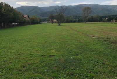 Teren Construcții intravilan de 2000 mp, în Sadu - 3