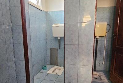 Proprietate multifunctionala,com.D-va Rosie,casa+sp.comercial+teren - 14