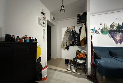 Apartament cu 3 camere decomandat, mobilat în Theodor Pallady - 20